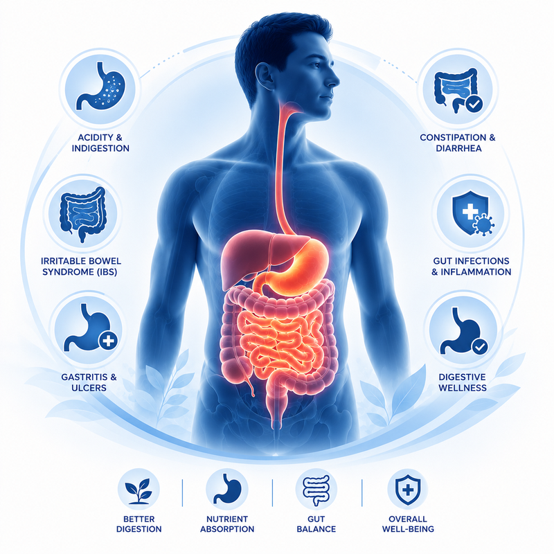 Digestive & Gastrointestinal Conditions